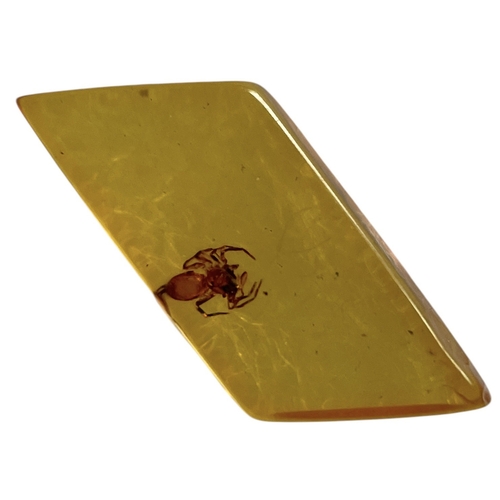 453 - A SPIDER FOSSIL IN BALTIC AMBER
A highly detailed flying insect in Baltic amber. From Kaliningrad, R... 