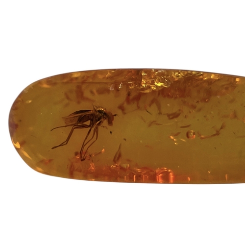 454 - A FLYING INSECT FOSSIL IN BALTIC AMBER
A highly detailed flying insect in Baltic amber. From Kalinin... 