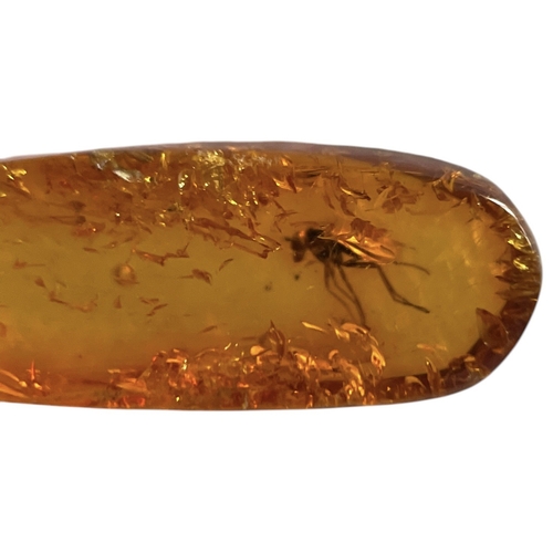 454 - A FLYING INSECT FOSSIL IN BALTIC AMBER
A highly detailed flying insect in Baltic amber. From Kalinin... 