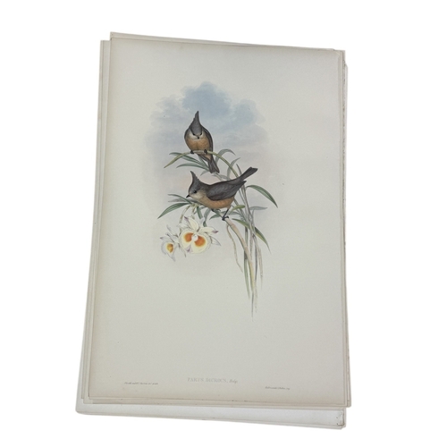 46A - JOHN GOULD AND H.C. RICHTER: A COLLECTION OF 27 HAND COLOURED LITHOGRAPHS FOR JOHN GOULD'S 'BIRDS OF... 