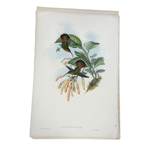 46A - JOHN GOULD AND H.C. RICHTER: A COLLECTION OF 27 HAND COLOURED LITHOGRAPHS FOR JOHN GOULD'S 'BIRDS OF... 