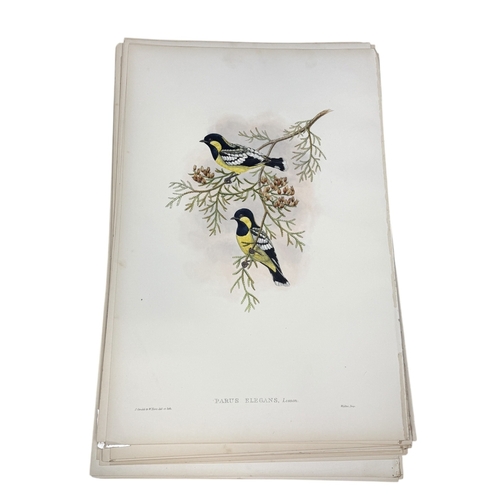 46A - JOHN GOULD AND H.C. RICHTER: A COLLECTION OF 27 HAND COLOURED LITHOGRAPHS FOR JOHN GOULD'S 'BIRDS OF... 