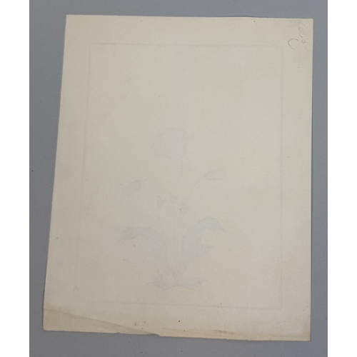 10 - AN INDIAN COMPANY SCHOOL WATERCOLOUR PAINTING ON PAPER DEPICTING A PIETRA DURA MARBLE STUDY, SIGNED ... 