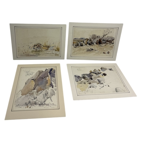 Lot 20        