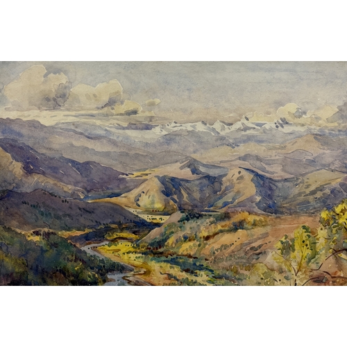 Lot 21        