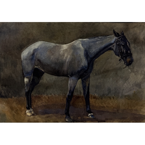 Lot 30        