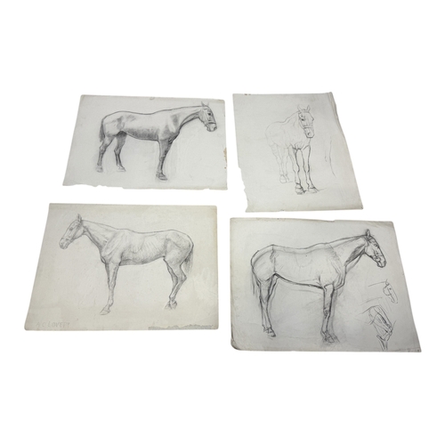 Lot 31        