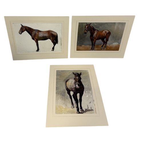 Lot 35        