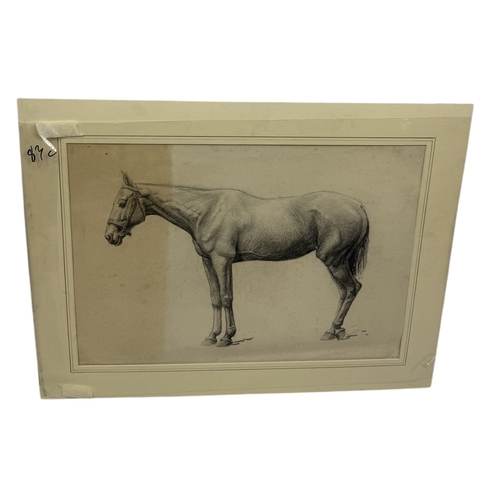 Lot 43        