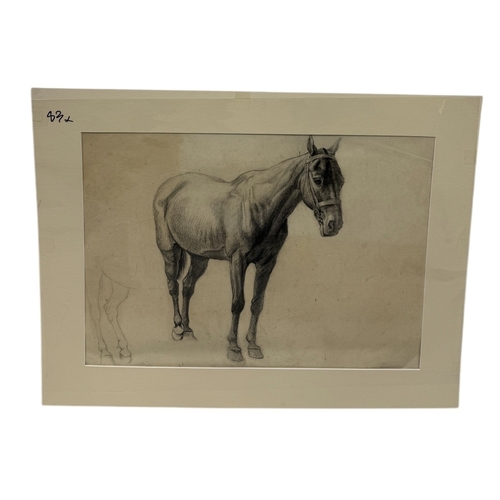 Lot 45        