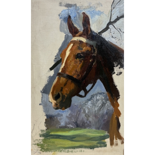 Lot 48        