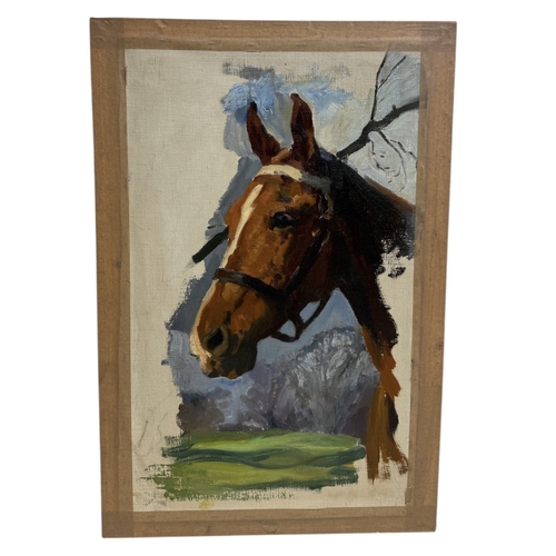 48 - NIGEL LOVETT (BRITISH B.1900): AN OIL PAINTING ON CANVAS DEPICTING A FINE HORSES HEAD PORTRAIT
60cm ... 
