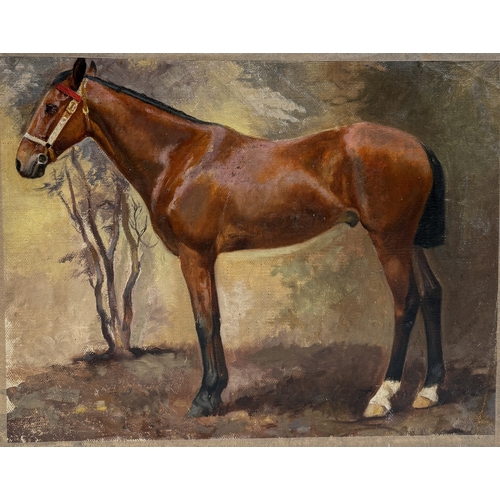 Lot 49        