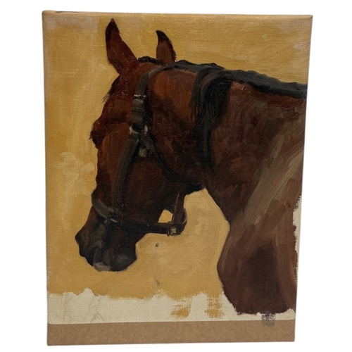 Lot 50        