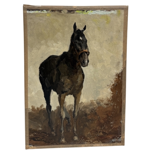 Lot 54        