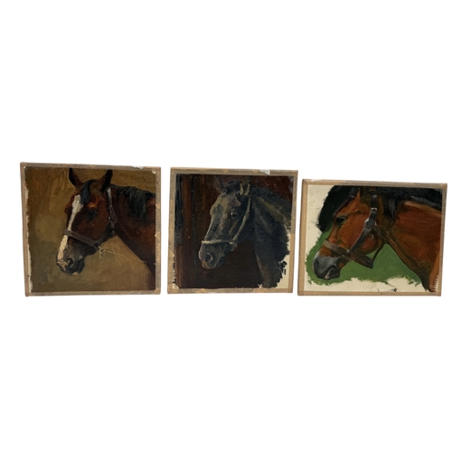 Lot 55        