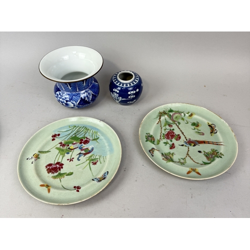 Lot 246       