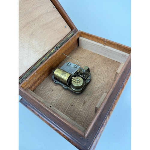 308 - A BURR WALNUT MUSICAL CIGAR BOX
19cm x 14cm x 11.5cm