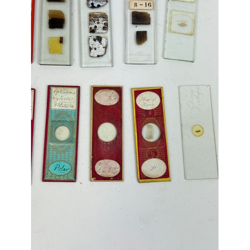 325 - A COLLECTION OF 19TH CENTURY MICROSCOPE SLIDES TO INCLUDE EXAMPLES BY AMOS TOPPING, G. BAKER
 ... 