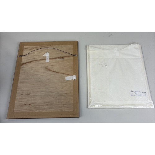 507 - A SIGNED PHOTOGRAPH OF VIV RICHARDS AND A SIGNED PRINT OF PAT EDDERY