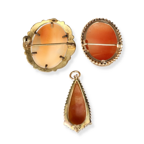 89 - A 9CT GOLD MOUNTED CARVED SHELL CAMEO BROOCH TOGETHER WITH A SIMILAR ROLLED GOLD BROOCH AND YELLOW M... 
