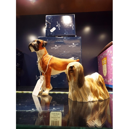 31 - Four Border Fine Arts Dogs and Pups figurines 'Lhassa Apso Standing' A3840 and 'Boxer Standing Fawn'... 