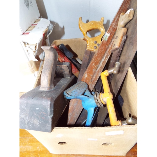 Lot 510       