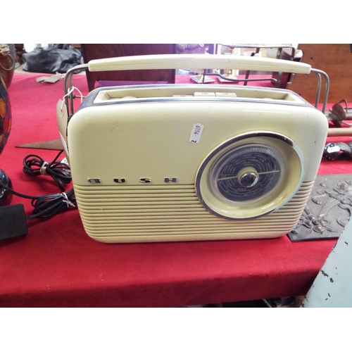 229 - A Bush radio