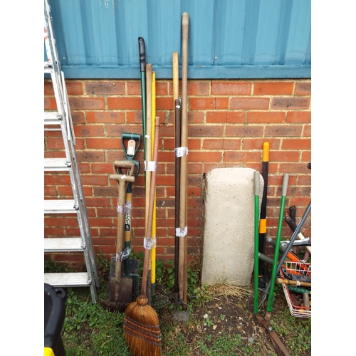 Lot 150       