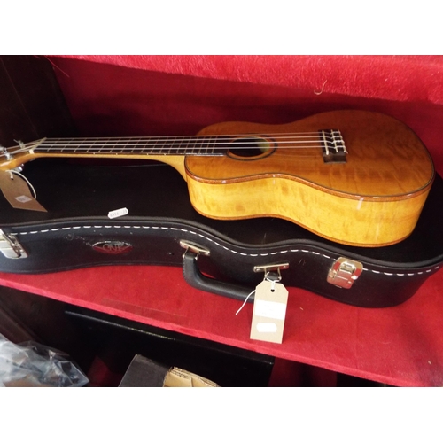 200 - A Kala ukulele KA-MC 1001 with accessories and hard case