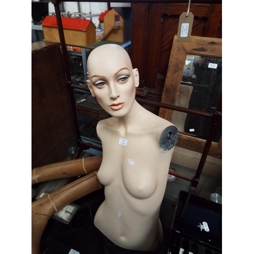 578 - A female torso mannequin 'Georgina'