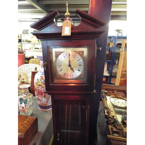 222 - A Tempus Fugit long case clock the dial having floral decoration and Roman numerals