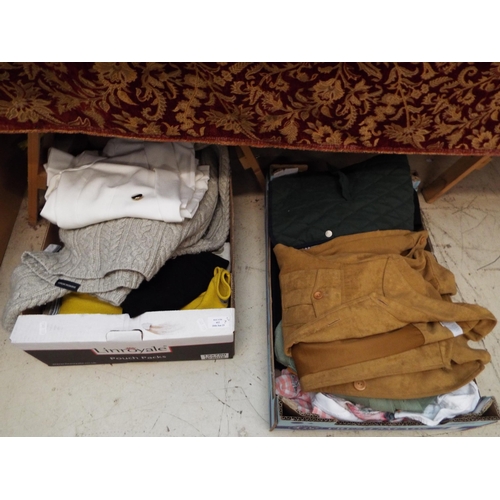 412 - A mixed selection of ladies clothing to include blouses, jumpers in two boxes