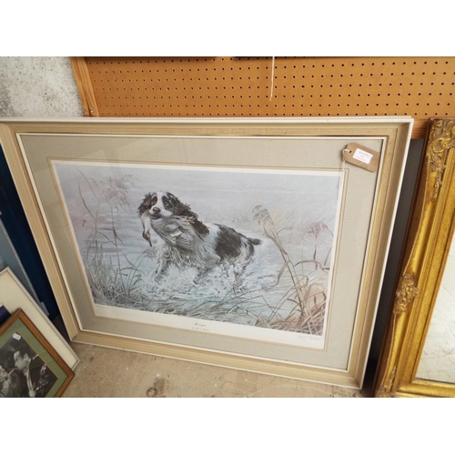 478 - Spencer Roberts Limited Edition 1/500 Springer Spaniel hunting scene signed lower right in pencil