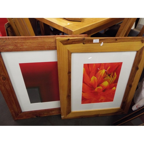 404 - A pair of decorative prints, one of a Dahlia