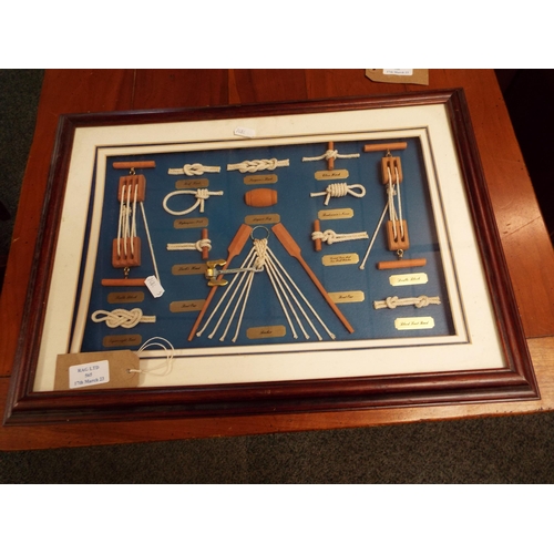 565 - A framed montage of nautical knots and equipment