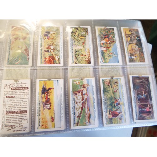 117 - An album of Typhoo tea cards to include Tennis Rackets, Pens, Tennis and Golf Balls etc