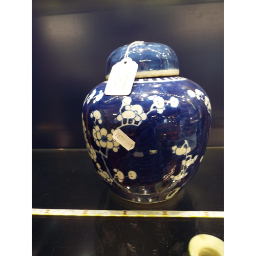 16 - A large Chinese blue and white ginger jar having prunus decoration