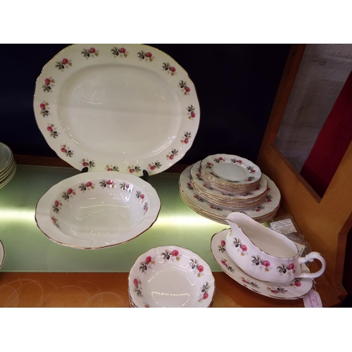 33 - A mixed selection of Mayfair china to include meat platter, plates, bowls etc