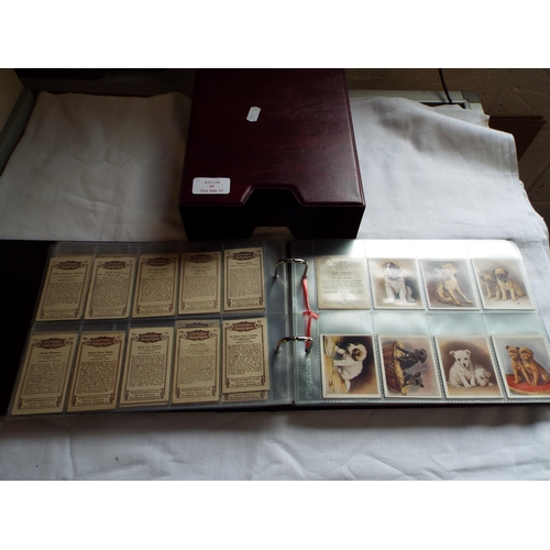 83 - A mixture of cigarette cards to include 'Hustler', 'Silks', 'Old Masters', series etc