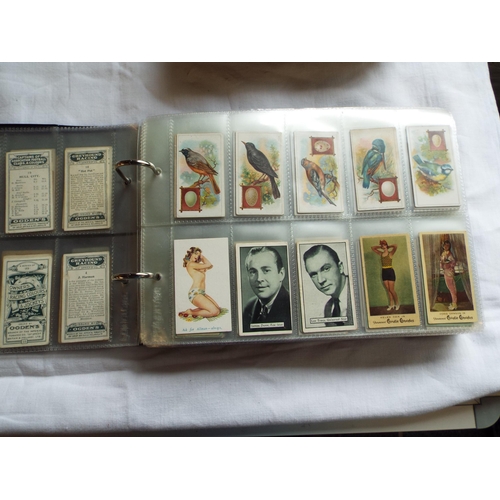 89 - An album housing approx five hundred cigarette cards by J Player & Sons, Edwards, Ringer & Bigg, Wil... 