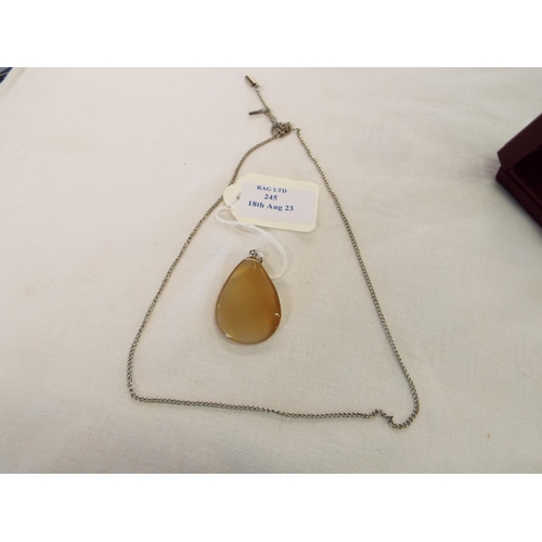 245 - A large agate pendant and chain