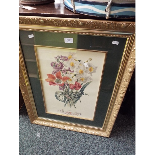 532 - A print 'Lilian' flowers in gilt frame
