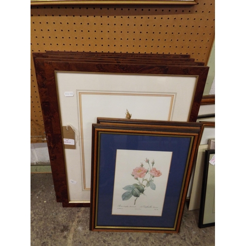 370 - A set of six Botanical prints 'Roses' framed and glazed