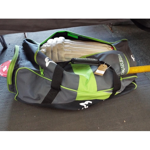 488 - A cricket bag containing a cricket bat, gloves, pads etc