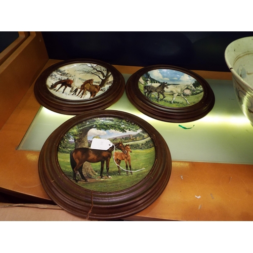 15 - Three Spode plates English Thoroughbreds in wooden frames