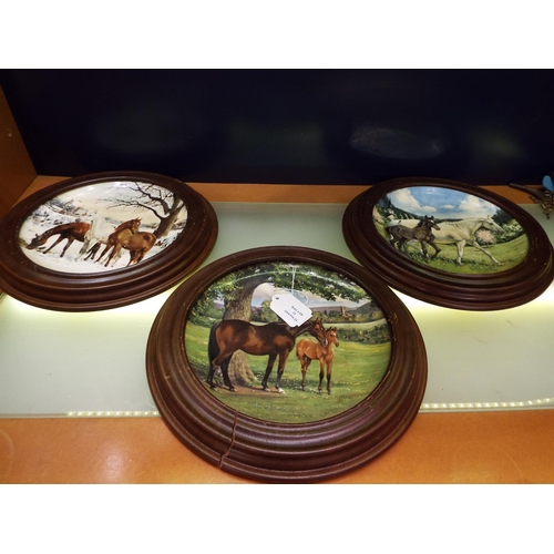 15 - Three Spode plates English Thoroughbreds in wooden frames