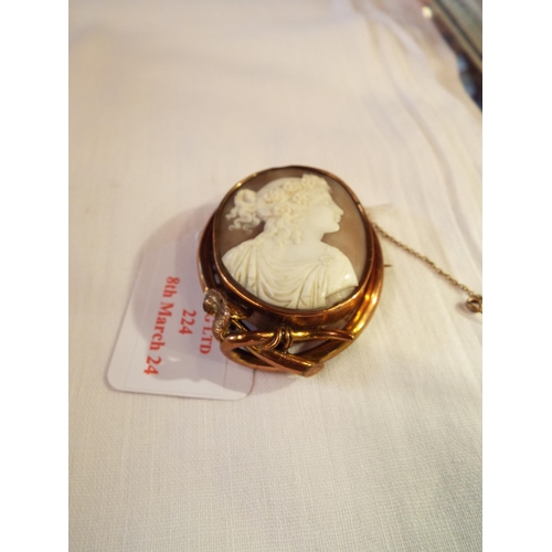 224 - A pinchbeck framed cameo brooch with classical female bust
