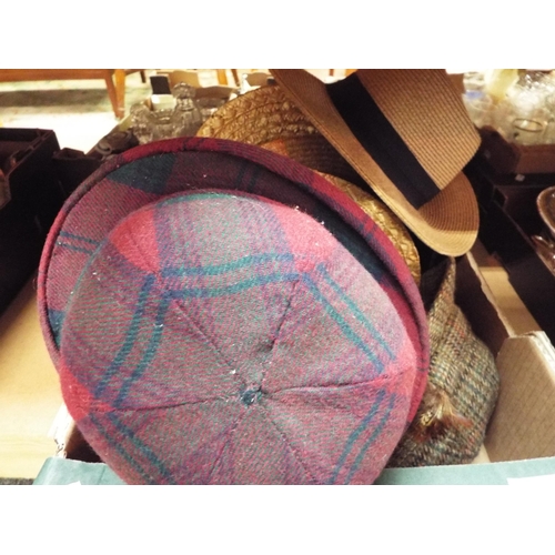 357 - A good selection of straw boater hats, tartan bowler and others