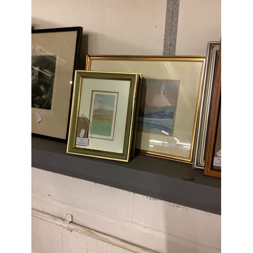 Lot 483       